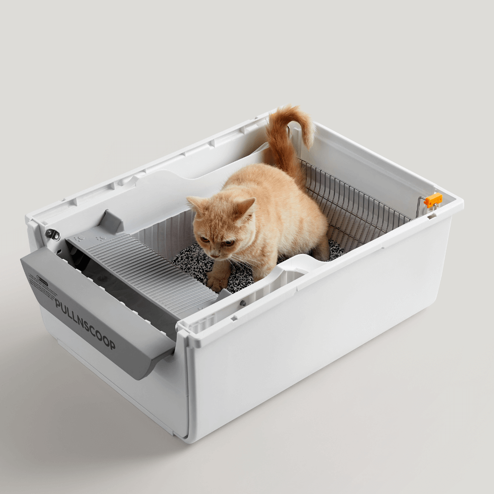 Pullnscoop NanoClean Premium Cat Litter(2-month)