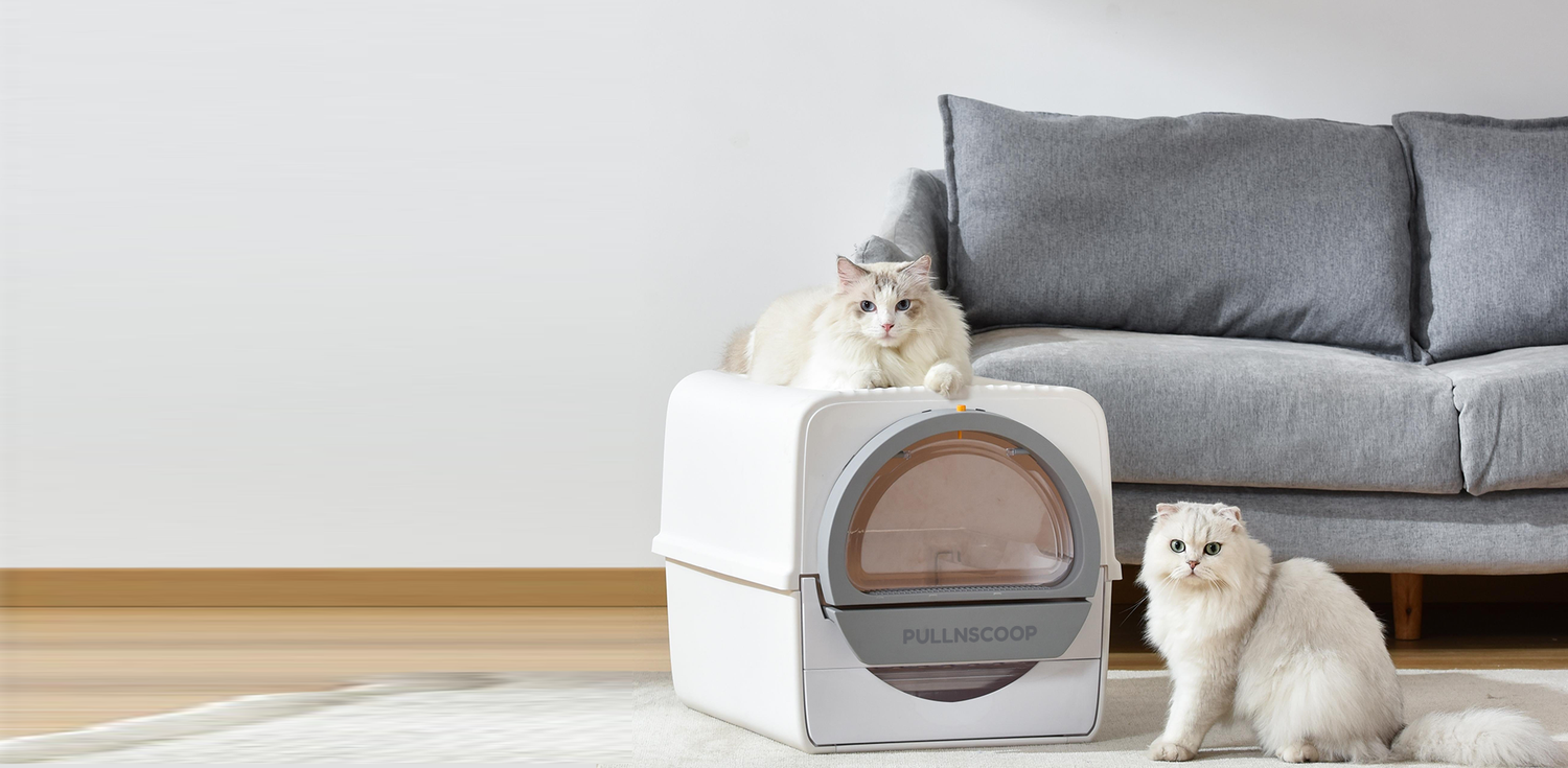 Best litter box for cats