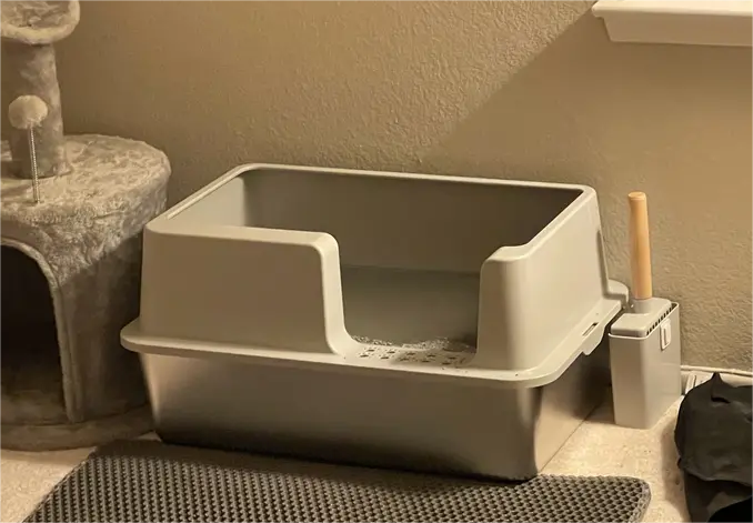 Stainless Steel Litter Boxes: User Reviews