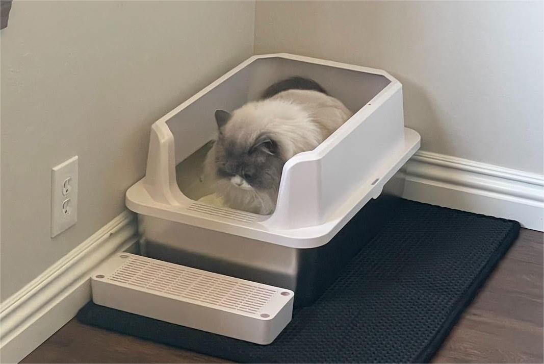 How to Clean Your Stainless Steel Litter Box