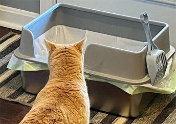 Preventing Odor with Stainless Steel Litter Boxes