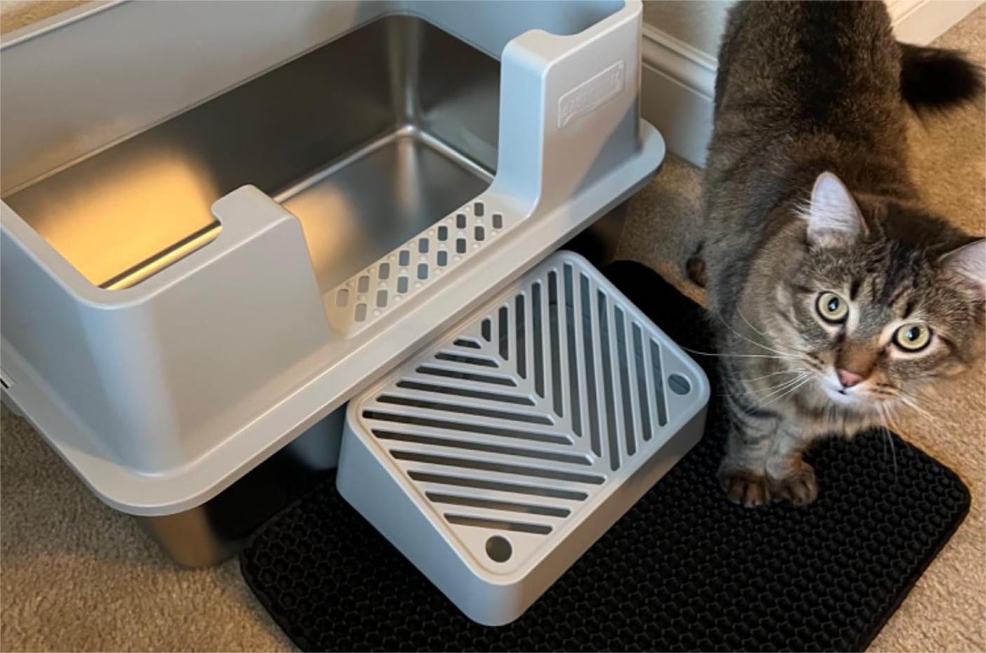 The Advantages of Stainless Steel Litter Boxes