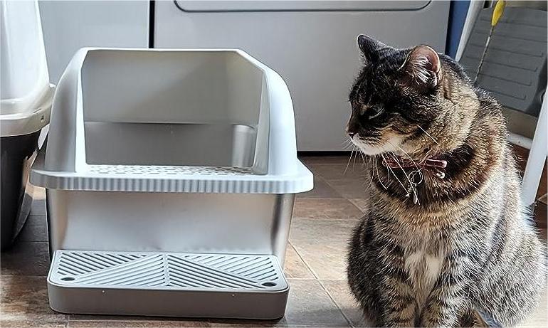 Stainless Steel Litter Box: The Hygienic and Stylish Choice for Modern Cat Owners