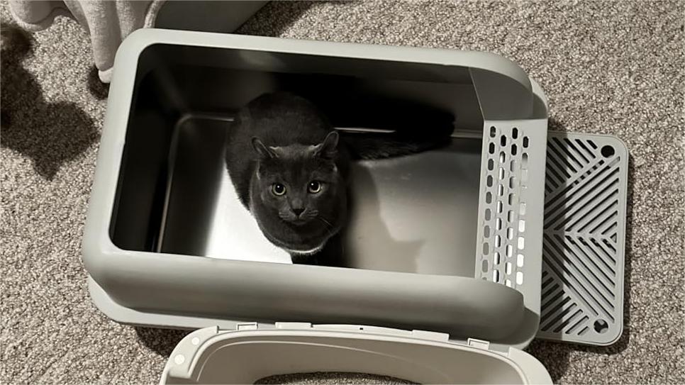 Best Designs in Stainless Steel Litter Boxes