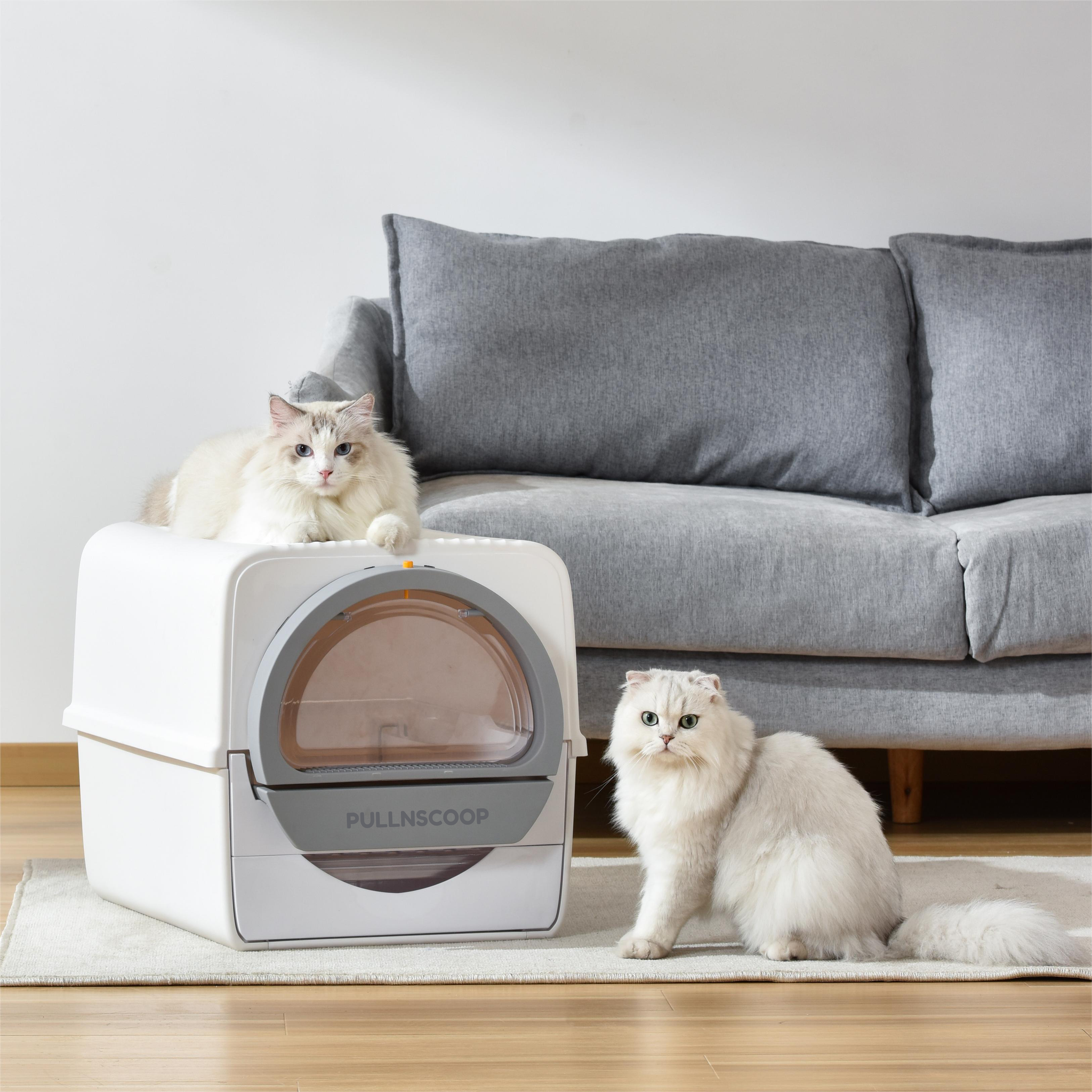 Handicap Accessible Litter Box For Cats, Litter Box For Senior Cats Too! 