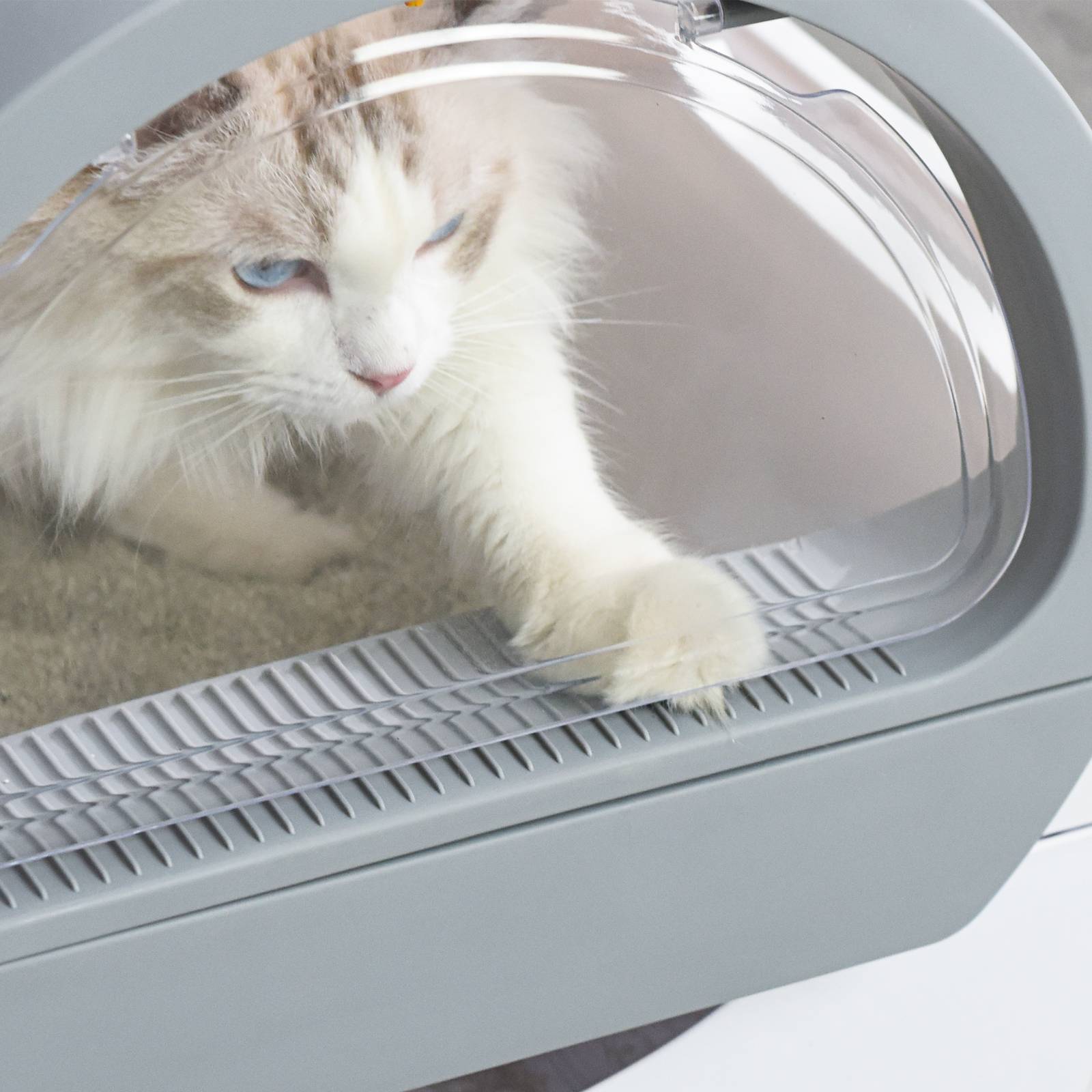 PULLNSCOOP Litter BoxReconditioned