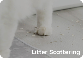 Litter Scattering