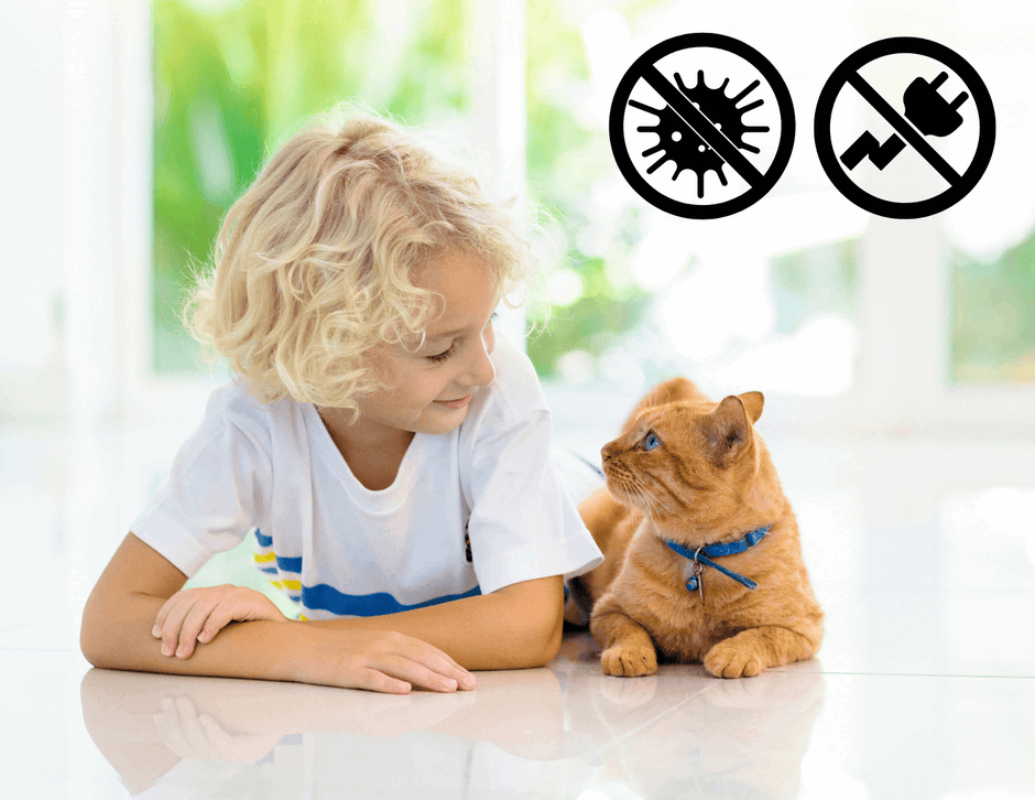 Pullnscoop Cat Litter Box