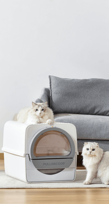 The Best Non Scoop Non electric Litter Box